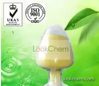 guaranteed quality and purity Xanthan gum cas 11138-66-2 CAS NO.11138-66-2