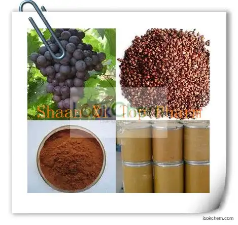 Natural Grape Seed Extract