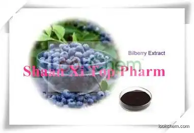 Natural Bilberry Extract