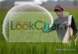 Urea Fetilizer  for sale