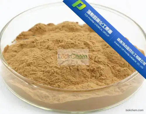 Honeysuchle flowers extract Chlorogenic acid 5%-98%