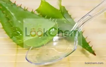 HPLC/UV GMP Factory organic aloe vera dry extract powder