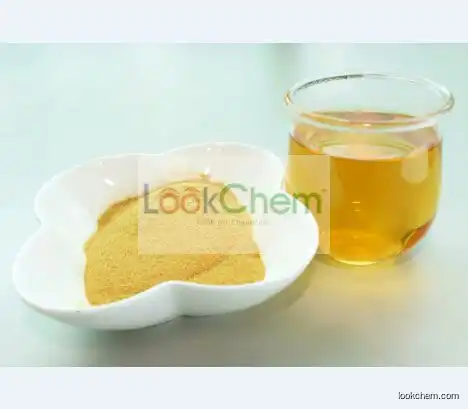Instant Green Tea Extract Powder(12-00-0)