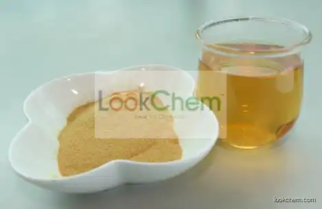 Instant White Tea Extract Powder(12-00-0)