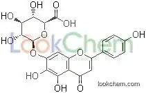 Scutellarin