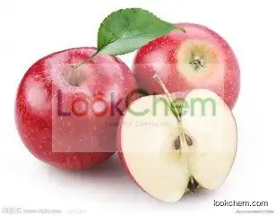 Hot sale high quality Apple Extract Phlorizin