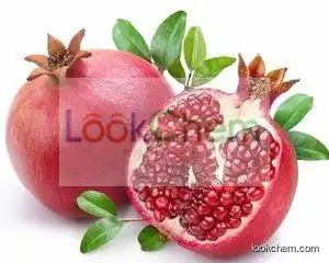 Pure pomegranate seed oil price