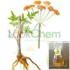 pure notopterygium root oil