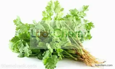 Hot sale high quality coriander seed oil