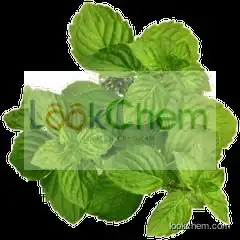 natural spearmint essential oil