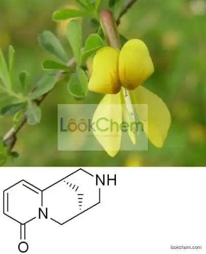 98% Refined Cytisine by HPLC