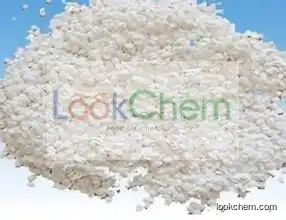 Polypropylene powder