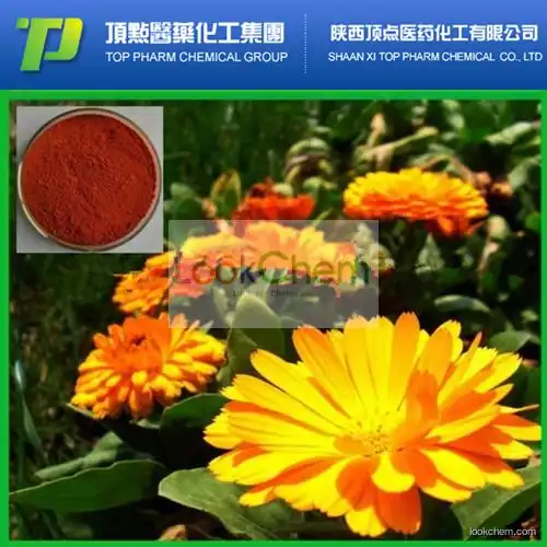 Natural Marigold extract Zeaxanthin cas:144-68-3