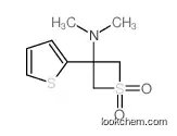 N,N-dimethyl-1,1-dioxo-3-thiophen-2-ylthietan-3-amine