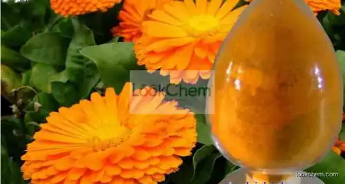 Marigold Extract Lutein