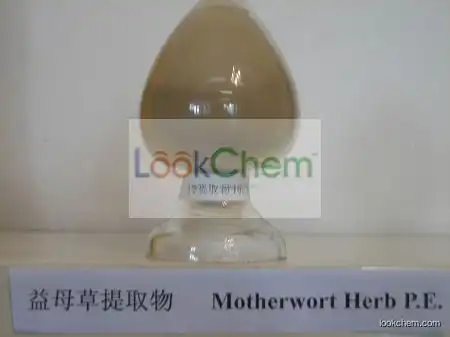 Top Quality Motherwort Extract,Motherwort Powder Extract,Motherwort P.E.4:1~20:1