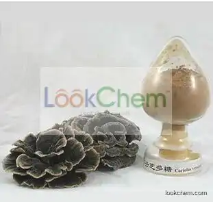 10% -50% Coriolus versicolor Mushroom Extract/Coriolus Mushroom Extract