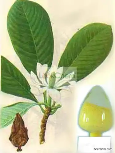 Cortex Magnoliae Officinalis P.E Magnolol 98%/High Quality Honokiol/Magnolia Officinalis Extract Powder, Magnolia Officinalis P.E.
