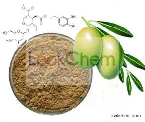 Olive leaf Extract Oleuropein, Olive leaf Extract Oleuropein 98%, Natural Olive leaf Extract Oleuropein