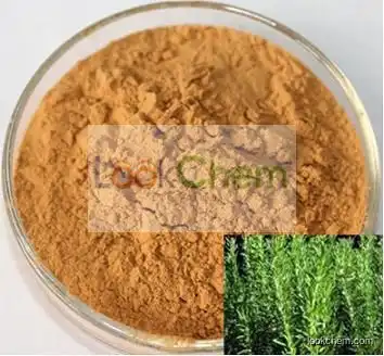 2.5%~98% Rosmarinic acid /Carnosic Acid 5%-85%/Rosemary Extract Powder