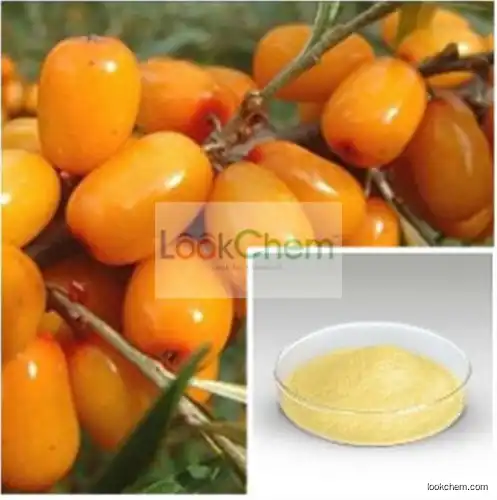 Sea Buckthorn Fruit Extract Flavones 5%~60%