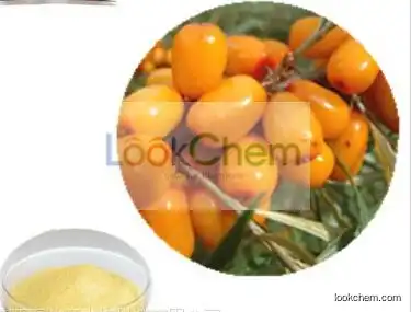 Sea Buckthorn Fruit Extract Flavones 5%~60%