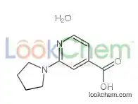 2-pyrrolidin-1-ylpyridine-4-carboxylic acid,hydrate