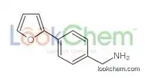 [4-(furan-2-yl)phenyl]methanamine