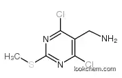 (4,6-dichloro-2-methylsulfanylpyrimidin-5-yl)methanamine