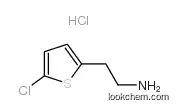2-(5-chlorothiophen-2-yl)ethanamine,hydrochloride