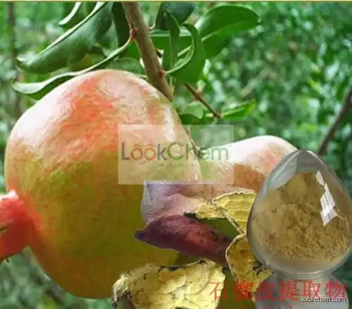 Pomegranate Rind Extract Punicalagins (Punicalagin A + B )