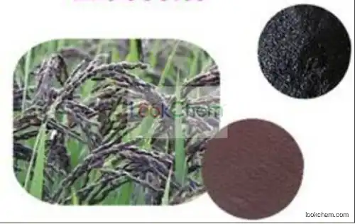 Anti-oxidant 100% Natural Black Rice Extract Powder Anthocyanidin 5%~25%