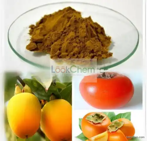 High Quality Persimmon Extract , Persimmon Extract Powder , Persimmon P.E./Kaempferol