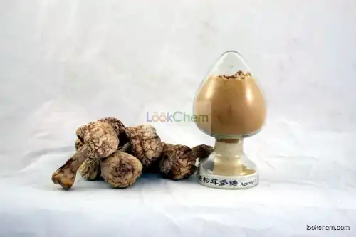 Hot Selling Agaricus Blazei Extract Polysaccharides 50%