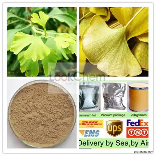 Natural Ginkgo Biloba Extract with 24% Flavonoides/ 6% Lactone