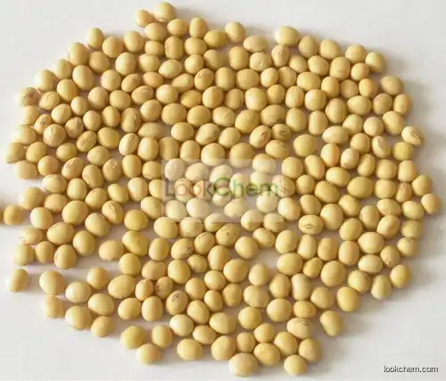 Hot Sale Factory Supply Brown Fine Powder Soybean Extract Powder, Soybean Isoflavone