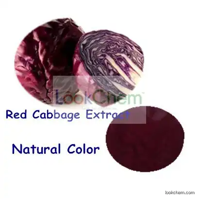 Best Price Factory Supply Fine Powder Cabbage Extract/Red Cabbage Extract Red Cabbage Color Powder