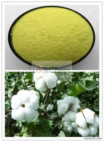 Natural Cotton Seed Extract Acetic Acid Gossypol 98%