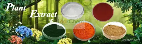 Factory Supply Fine Powder Red Beet Root Extract Nature Pigment Beet Root Red Color