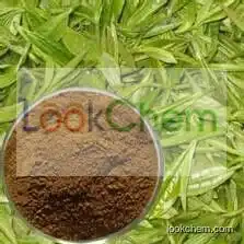 Hot Sale Factory Supply 100% Natural Green Tea Extract Tea Polyphenols 98%