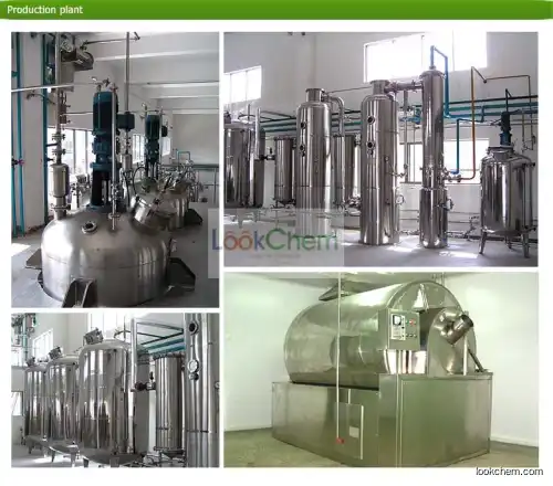 Hot Sale Factory Supply Natural Sweetener Stevia Extract Wholesale, Stevia Extract Stevioside