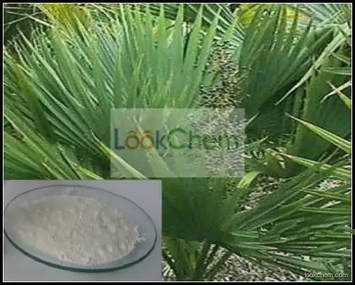 GMP Supplier Natural Plant Saw Palmetto Fruit Extract 25% 45%