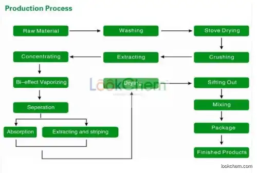 Natural Zizyphus jujube - Zizyphus fruit Extract Jujube Extract