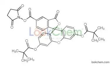5-CARBOXYFLUORESCEIN DIPIVALATE N-HYDROXYSUCCINIMIDE ESTER