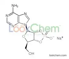 ADENOSINE-2',3'-CYCLIC MONOPHOSPHOROTHIOATE, ENDO/RP-ISOMER SODIUM SALT