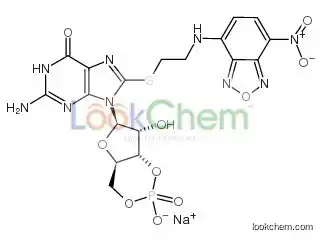 8-(2-[7-NITRO-4-BENZOFURAZANYL]AMINOETHYLTHIO]GUANOSINE-3',5'-CYCLIC MONOPHOSPHATE SODIUM SALT