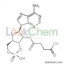 2'-O-MONOSUCCINYLADENOSINE 3':5'-CYCLIC MONOPHOSPHATE