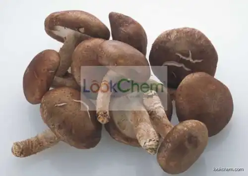 Shitake Mushroom Extract,Shiitake Mycelia Extract,Shiitake Fruiting body Extract