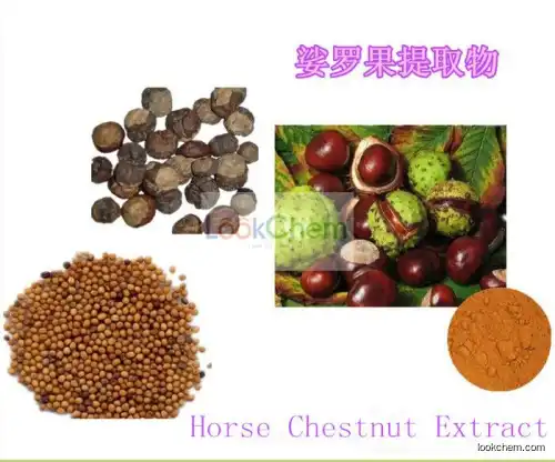 High quality Horse Chestnut Extract Aescin 20% by HPLC