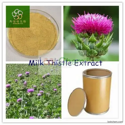 Hot Sale Factory Supply 100% Natural Milk Thistle Extract; Silymarin Milk Thistle; Milk Thistle Extract Silymarin